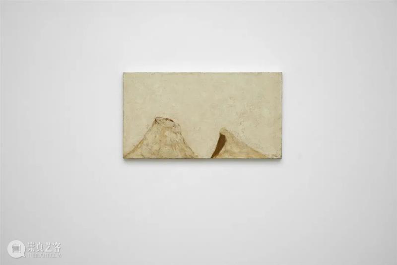 对话艺术家 | 展望:世间万事皆戏耳,何止兹山与兹水 视频资讯 三遠当代艺术 世间 万事 何止兹山 艺术家 展望 编者按 风景 提喻法 Synecdoche Landscape 崇真艺客